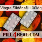 Viagra Sildénafil 100Mg 17